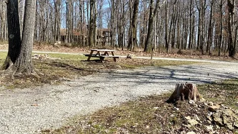 Premium Pull-Through RV Site — image 2 of 3
