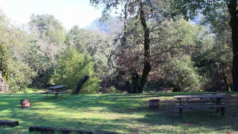 Primitive Tent Site — image 2 of 6