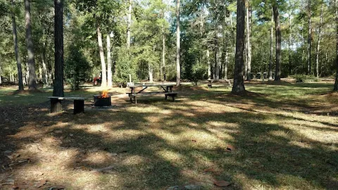 Standard Full Hookup RV Site — image 1 of 1