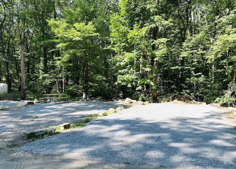 Douglas Forest RV Resort, Webster, Massachusetts - Photo 2