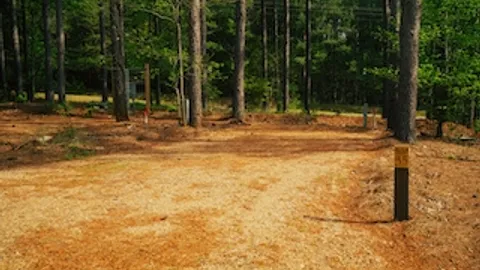 Deluxe Wooded Back In Site RV Site — image 1 of 1