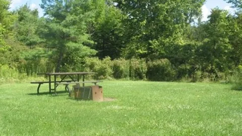 No Service - Primitive Tent Site Large — image 1 of 1