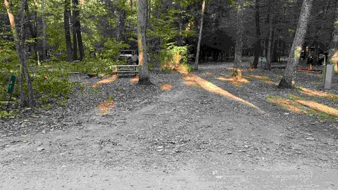 20 AMP Forest Tent / RV Site — image 10 of 10