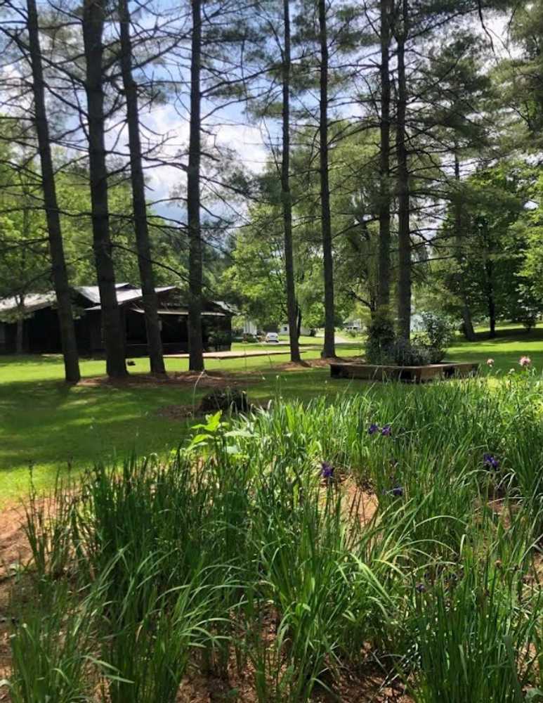 Old Mill Music & RV Park - Photo 3