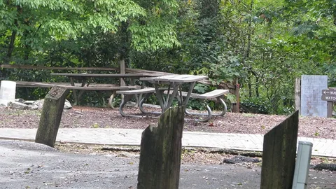Camp WaBak Rambler Cabin — image 6 of 6