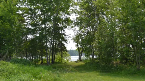 Primitive Tent Site — image 3 of 3