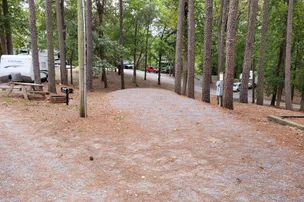 Moss Lake Campground – photo 3
