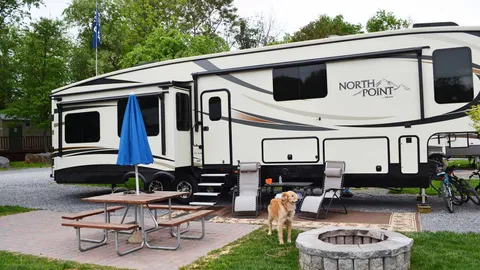 Premium with Patio Pull-Thru RV Site — image 2 of 8