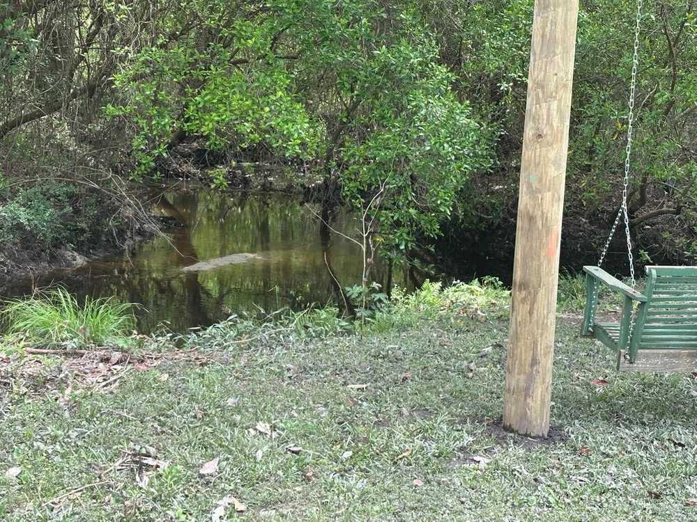 Park Image 5