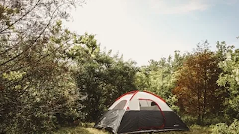 Primitive Tent Site — image 1 of 14