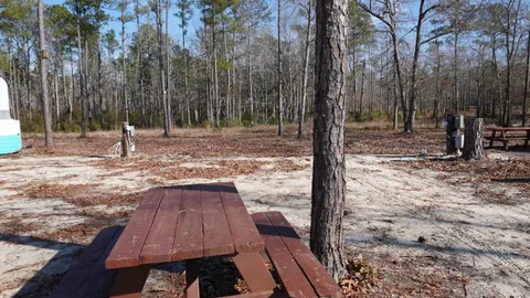 30/50 AMP Standard RV Site — image 4 of 4