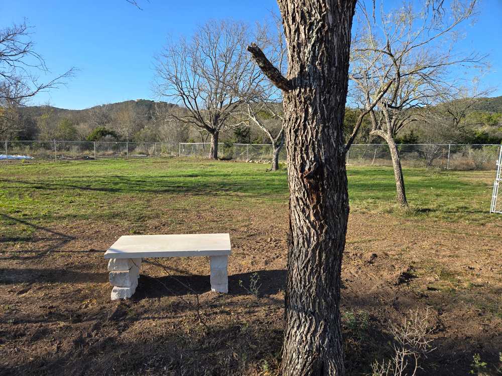 Park Image 5