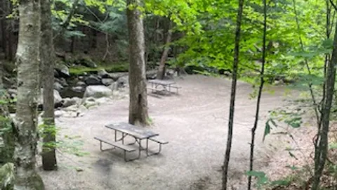 Tent- Double Site, Brook Front, Electricity — image 1 of 2