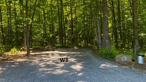 Wooded Electric RV — image 1 of 9