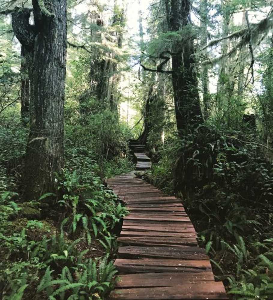 Surf Grove Campground - Photo 2