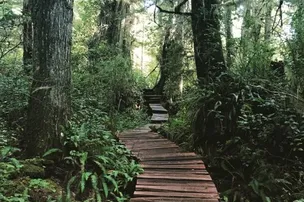 Surf Grove Campground – photo 2
