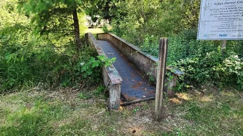 Section B - Grassy Area — image 4 of 4