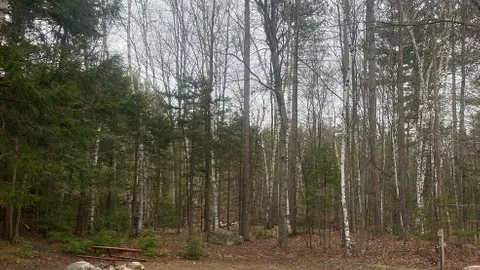 30 Amp Back In RV Site W/E/S — image 1 of 2