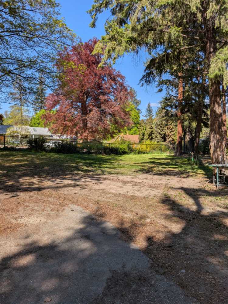 Park Image 9