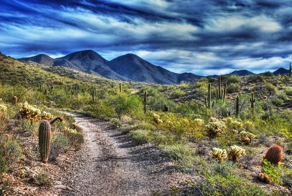 North Ranch RV Park - Congress, AZ campground