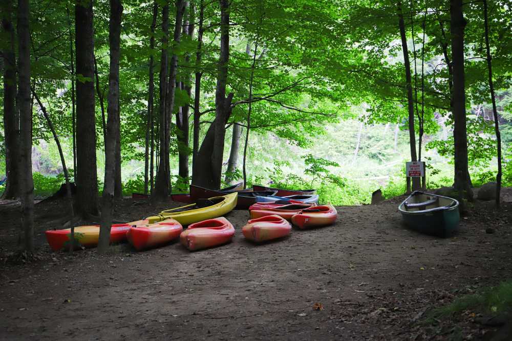 Branch Brook Campground - Photo 4