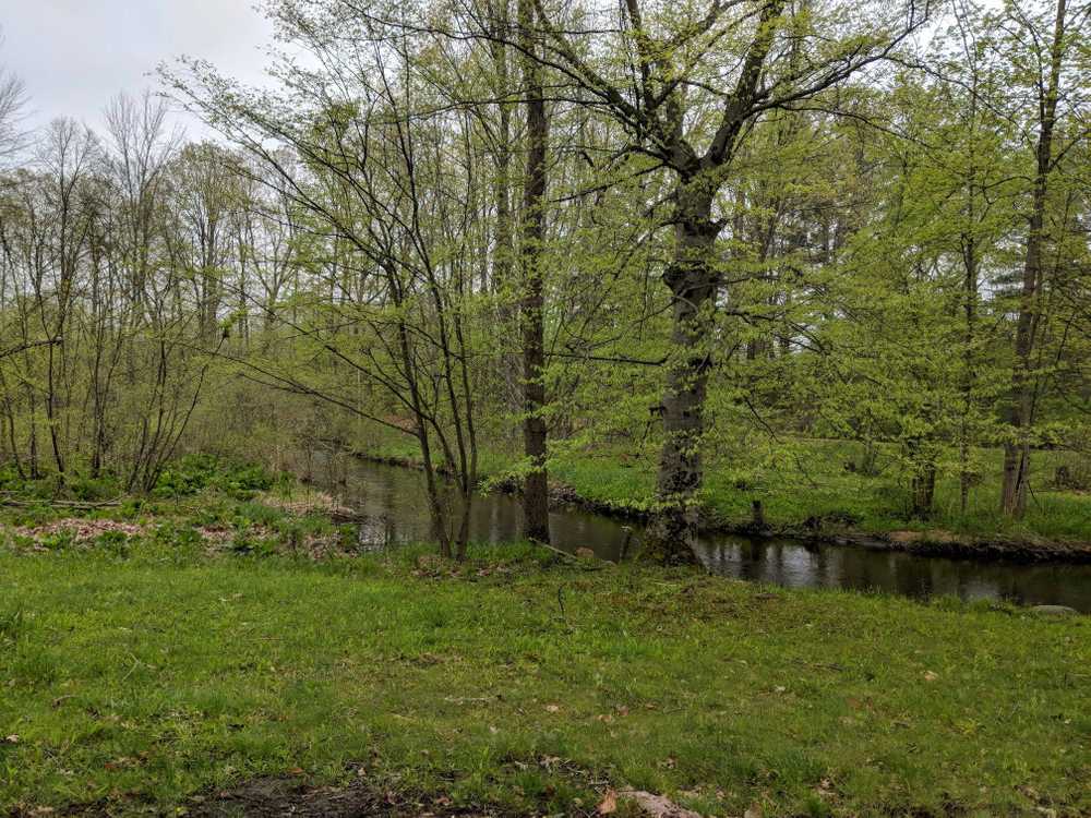 Duke Creek Campground, Cedar Springs, Michigan - Photo 3