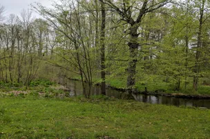Duke Creek Campground – photo 3