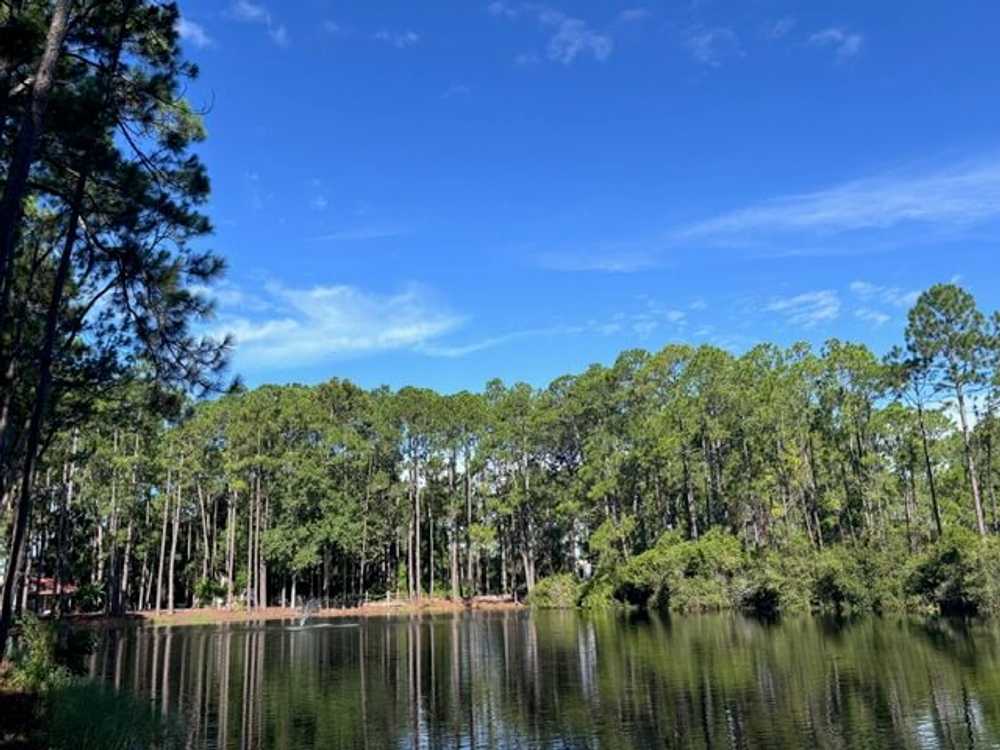 Park Image 10