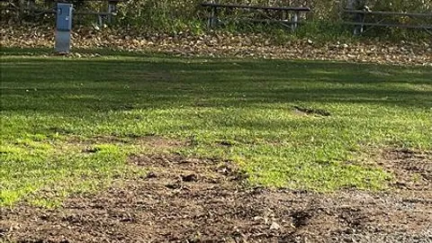 30 AMP RV Site — image 1 of 7