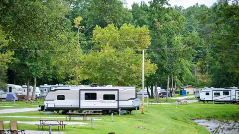 Premium 30 Amp RV Creek-side Site — image 5 of 5