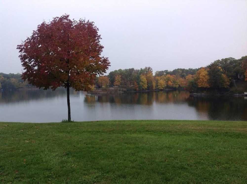Park Image 5
