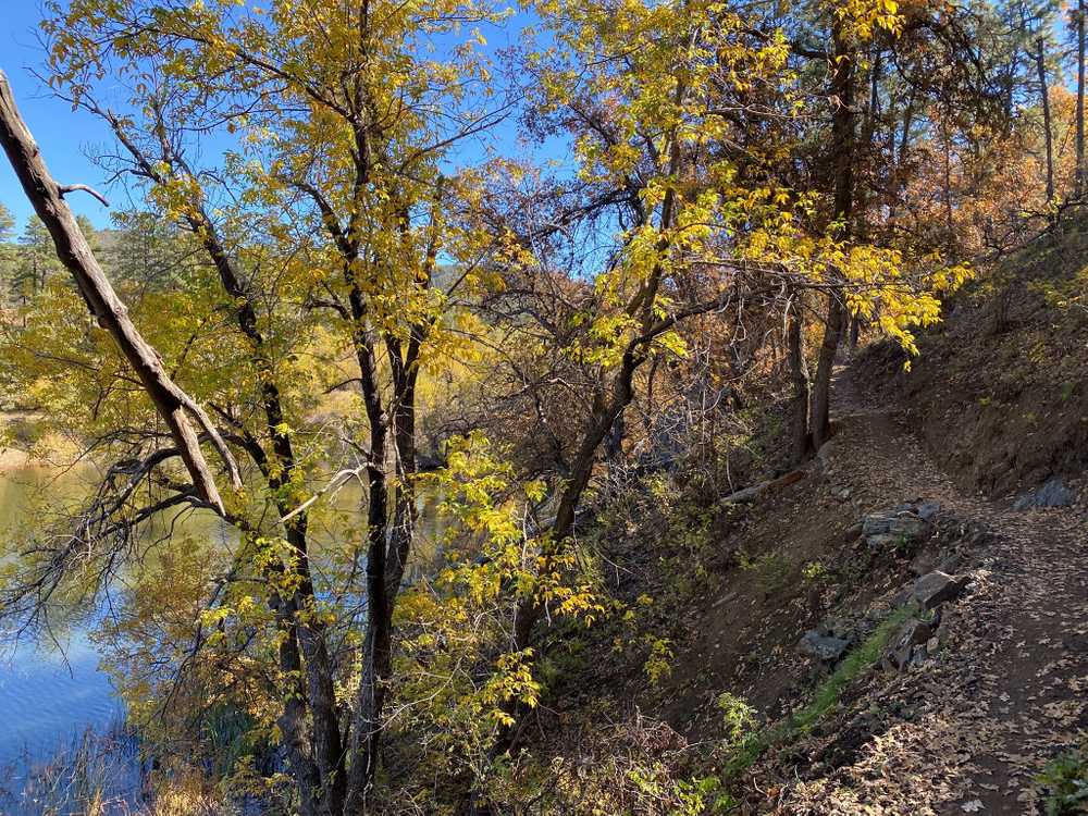Park Image 7