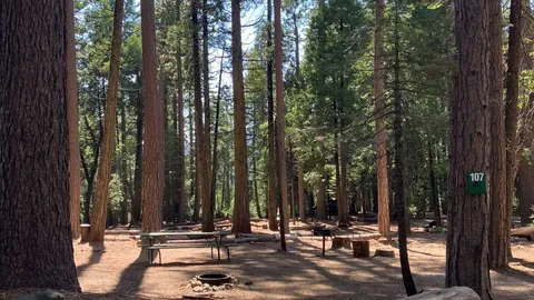 Tent — image 6 of 6