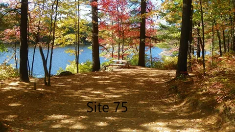 20/30/50 Waterfront W/E Site — image 3 of 3