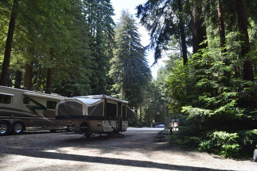 Park Image 5