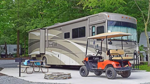 Red Carpet Pull-Thru RV Site — image 2 of 5