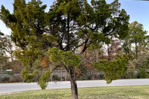 Dot’s Mobile Ranch – photo 4