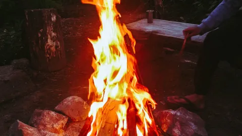 Camping Cabin — image 2 of 4