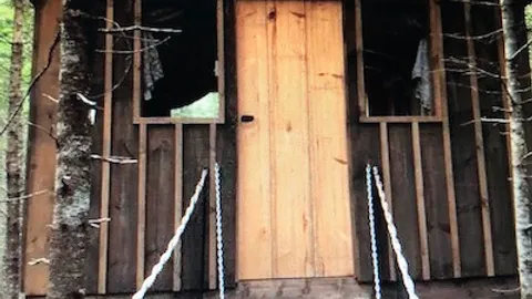 Treehouse — image 1 of 3