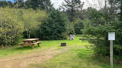 Primitive Camping Site (TENT or Small RV) — image 1 of 4