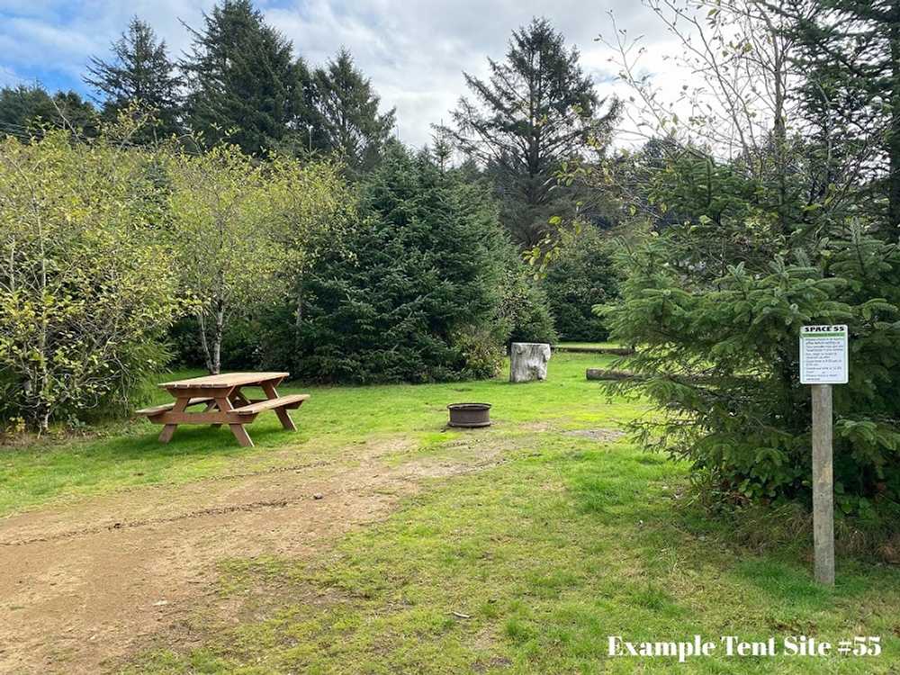 Primitive Camping Site (TENT or Small RV)