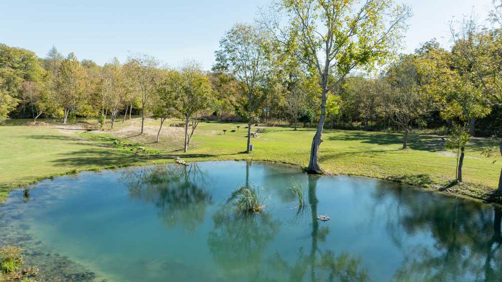 Park Image 7
