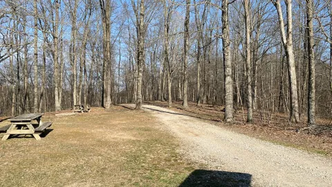 Primitive Tent — image 2 of 7