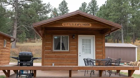Standard Cabin - Sleeps 4-5 — image 7 of 7