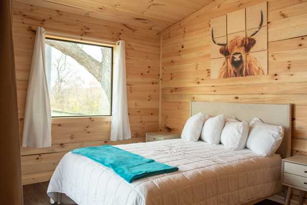 Mammoth Cabin
