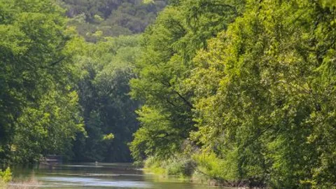 RIVER CABIN — image 2 of 12