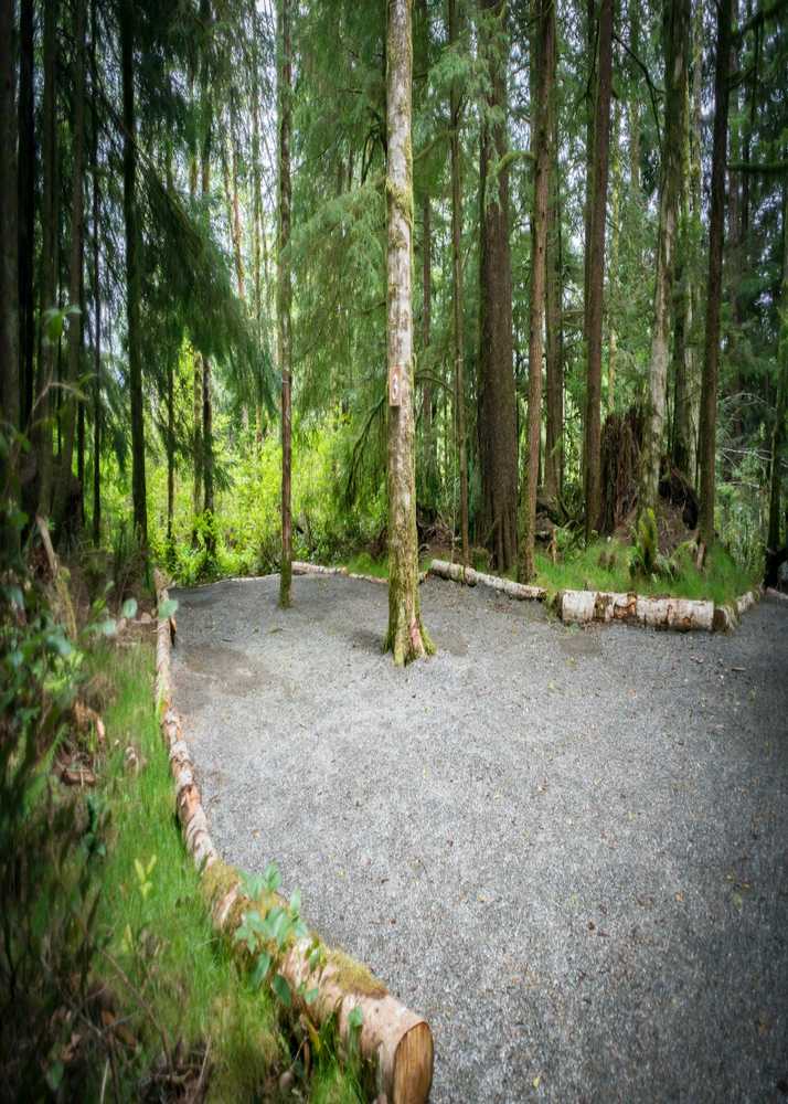West Coast Campground - Photo 5