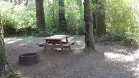 Brown Tent Site — image 6 of 6