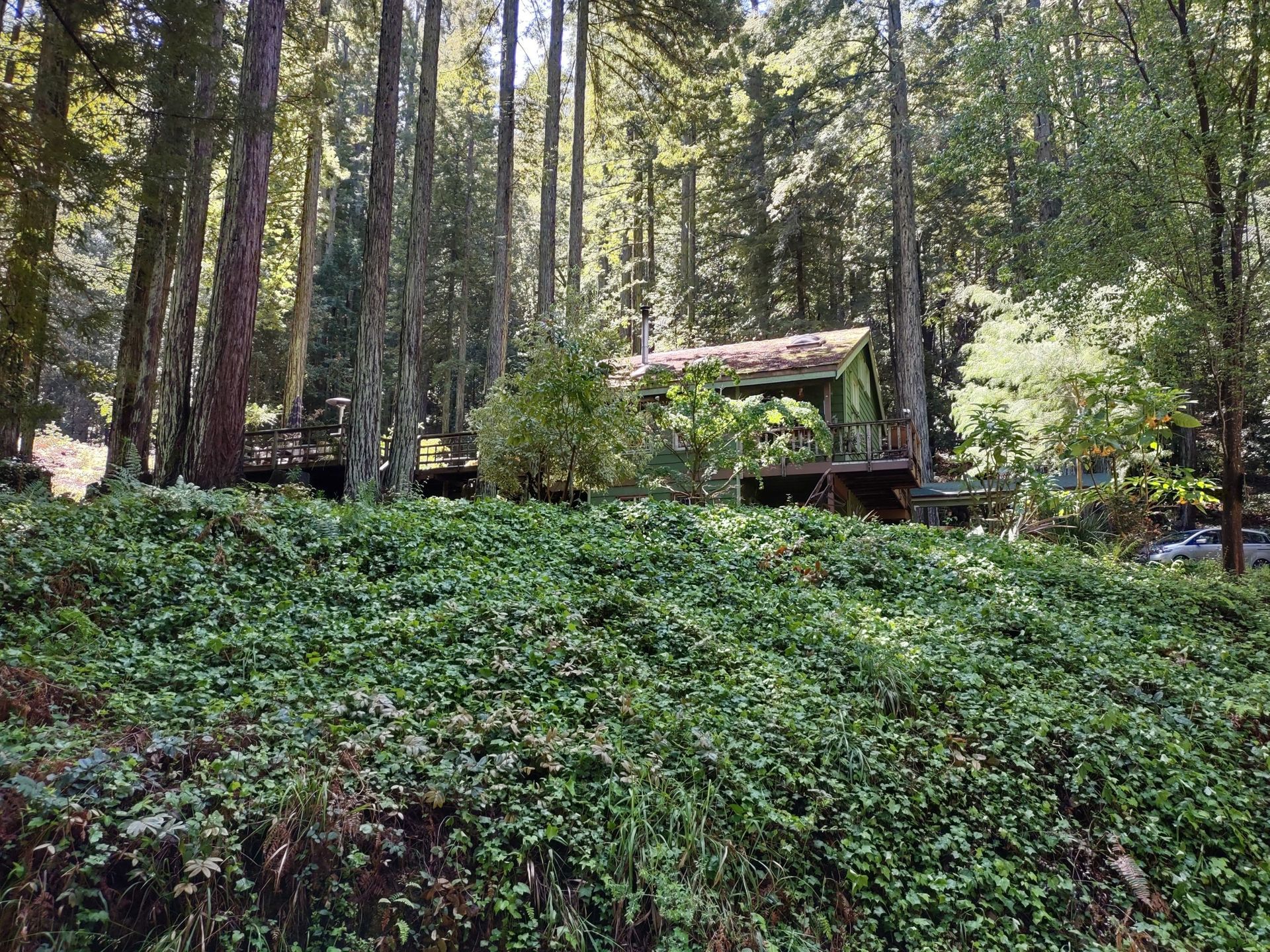 Redwood Retreat, Watsonville, California