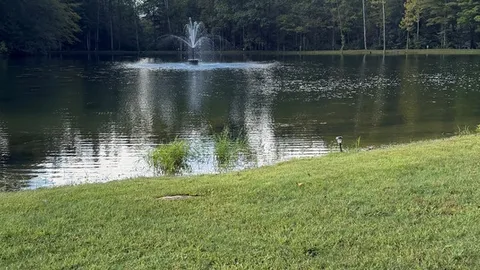 Pond Side Cabin — image 20 of 20